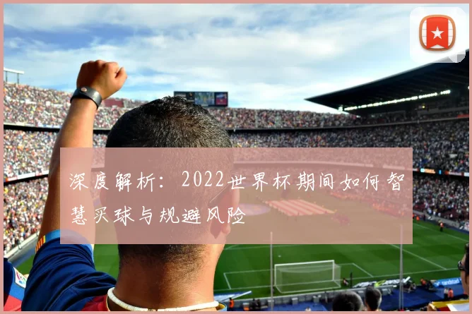 深度解析:2022世界杯期间如何智慧买球与规避风险