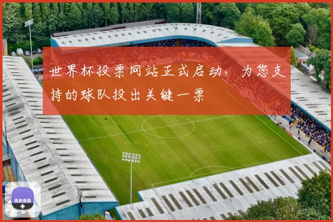 世界杯投票网站正式启动，为您支持的球队投出关键一票
