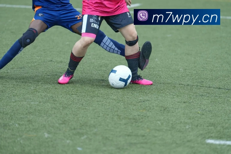 米兰体育官网直接进入APP 封面图